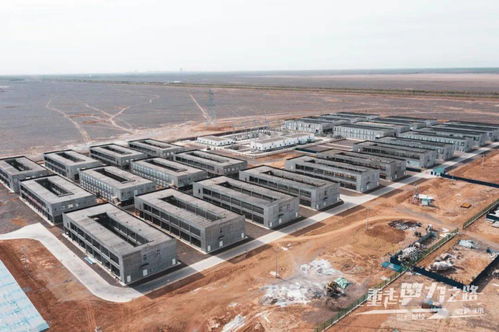 A large-scale mining farm with rows of mining rigs, showcasing the scale of modern cryptocurrency mining operations.
