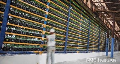 An expansive view of a modern mining farm, showcasing rows of ASIC and GPU rigs dedicated to Bitcoin and Dogecoin operations