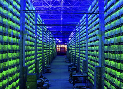 Hosting facility with industrial-scale Bitcoin mining rigs