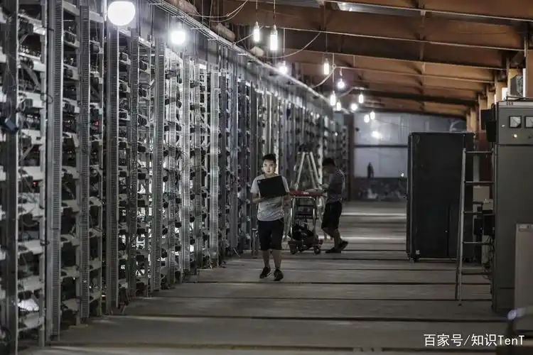 A thriving mining farm setup with various mining rigs